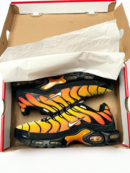 Nike TN Tiger (10)