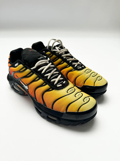 Nike TN Tiger (10)