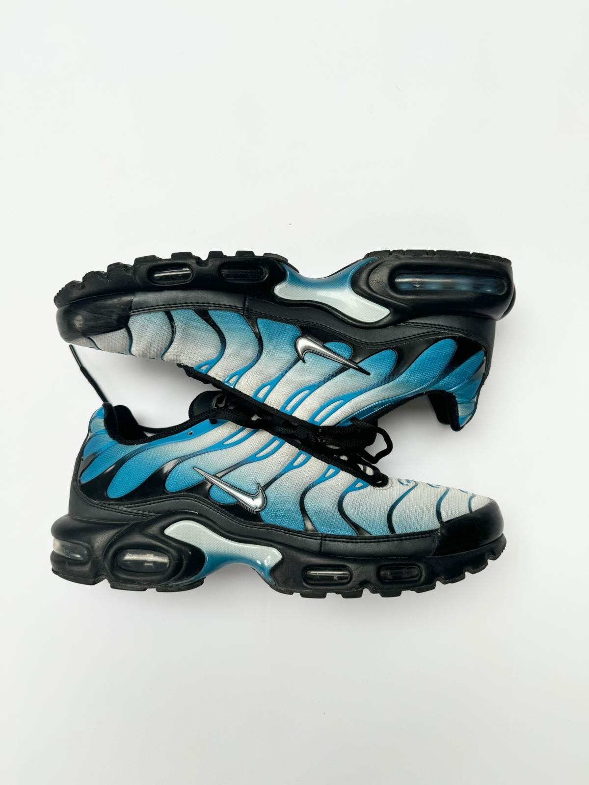 Nike TN Neptune (10)